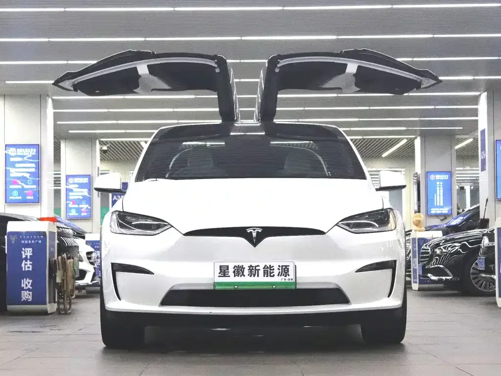 Tesla Model X 2023 из CN, фото 3