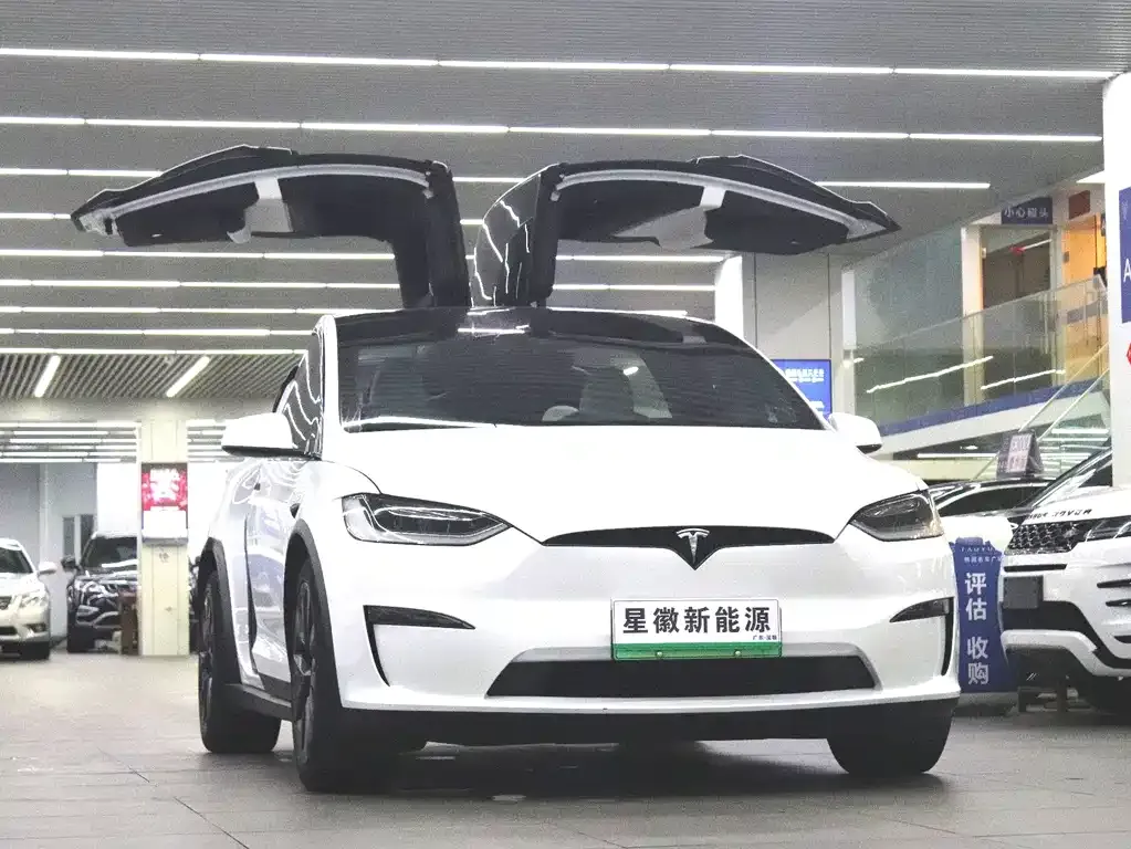 Tesla Model X 2023 из CN, фото 4