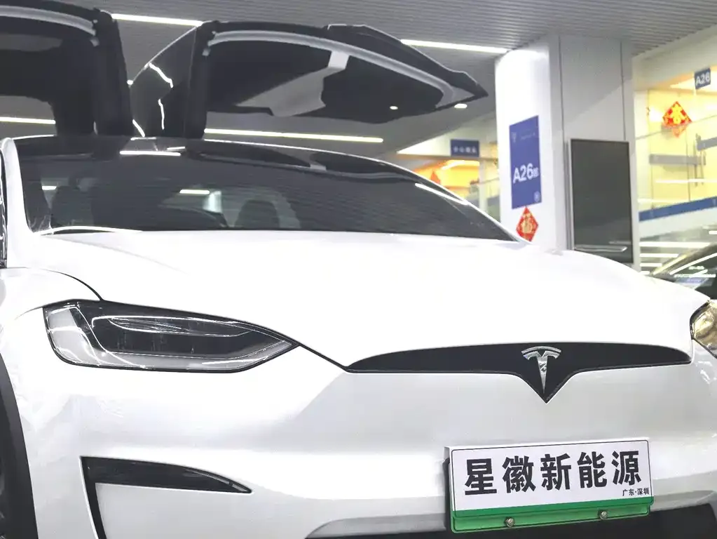 Tesla Model X 2023 из CN, фото 5