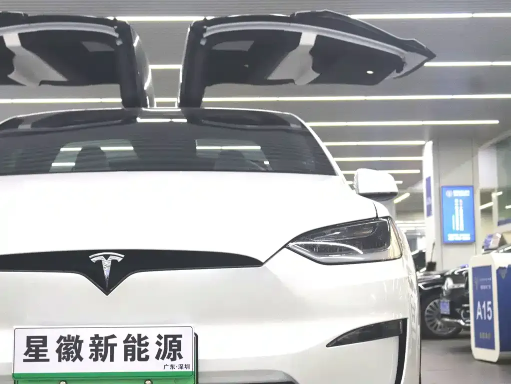 Tesla Model X 2023 из CN, фото 6
