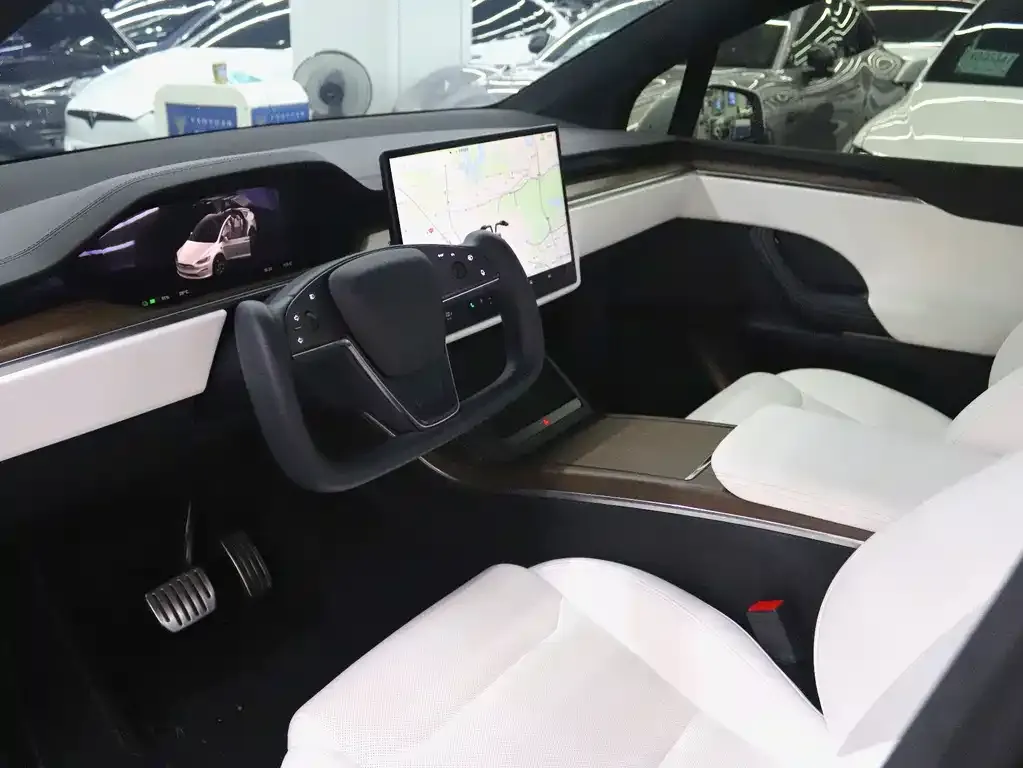 Tesla Model X 2023 из CN, фото 7