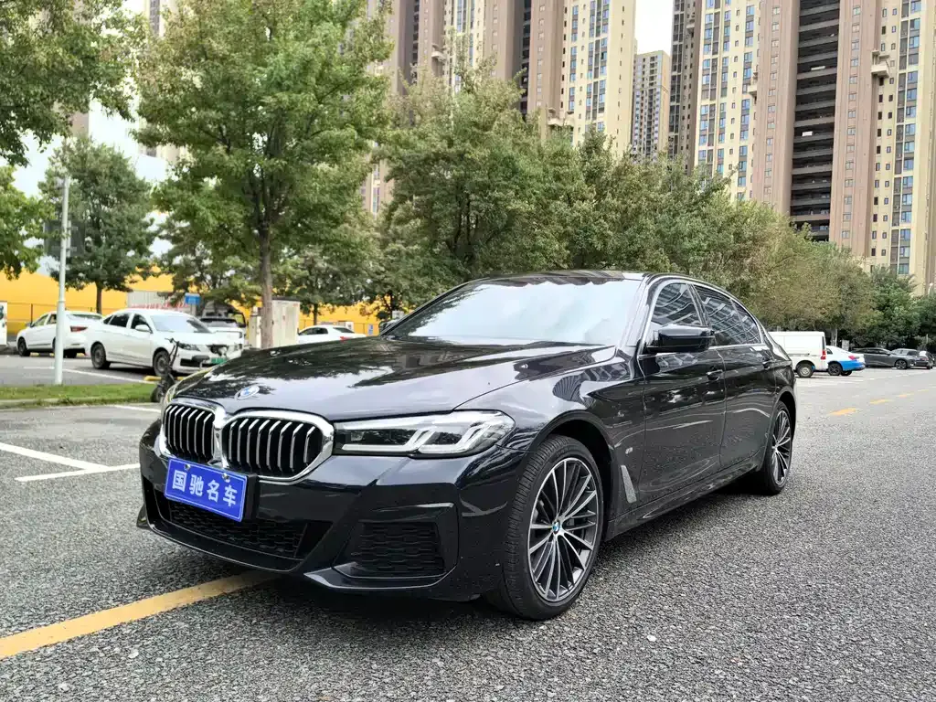 BMW 5 Series 2021 из CN, фото 1
