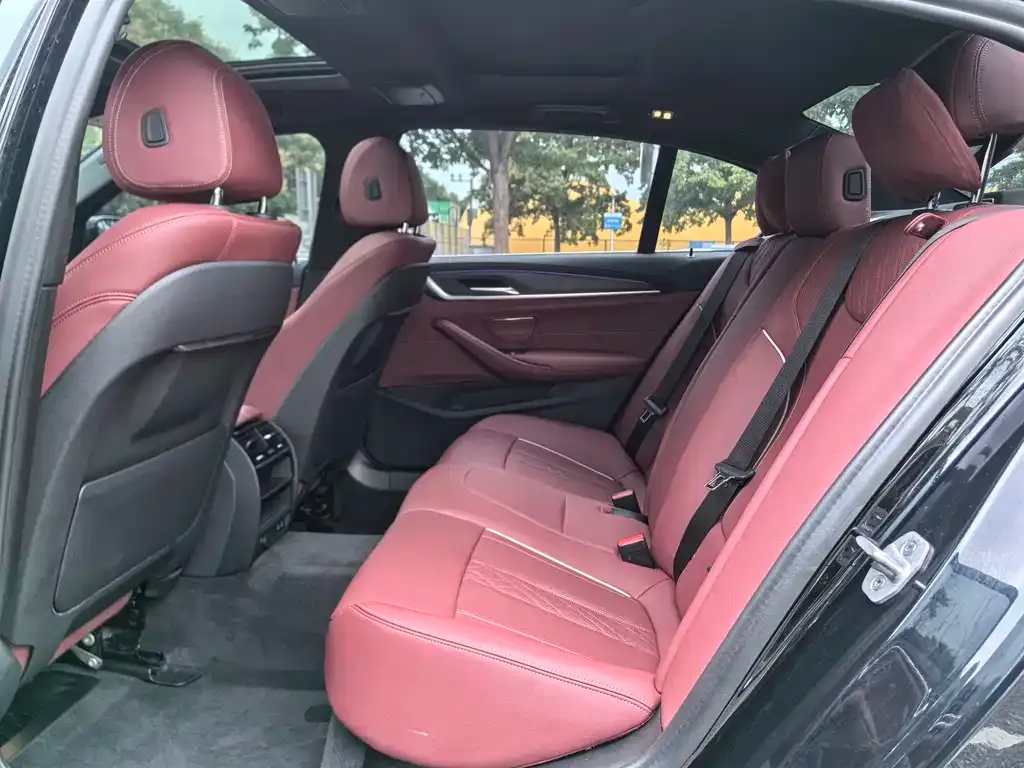 BMW 5 Series 2021 из CN, фото 10