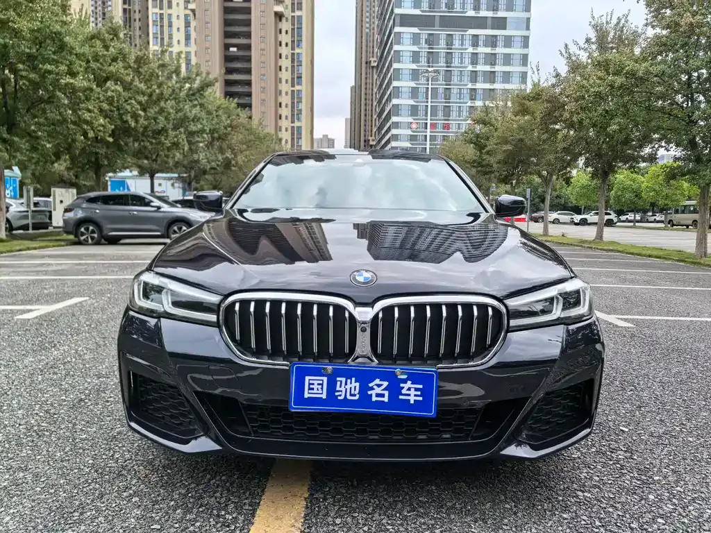 BMW 5 Series 2021 из CN, фото 2