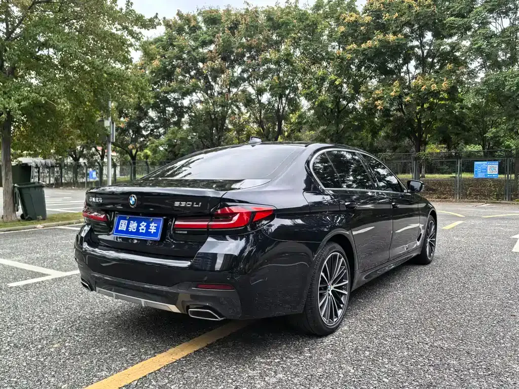 BMW 5 Series 2021 из CN, фото 4