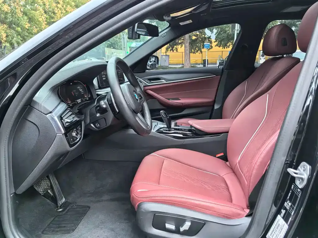 BMW 5 Series 2021 из CN, фото 5