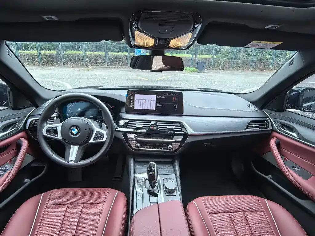 BMW 5 Series 2021 из CN, фото 7