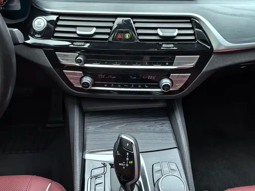 BMW 5 Series 2021 из CN, фото 9