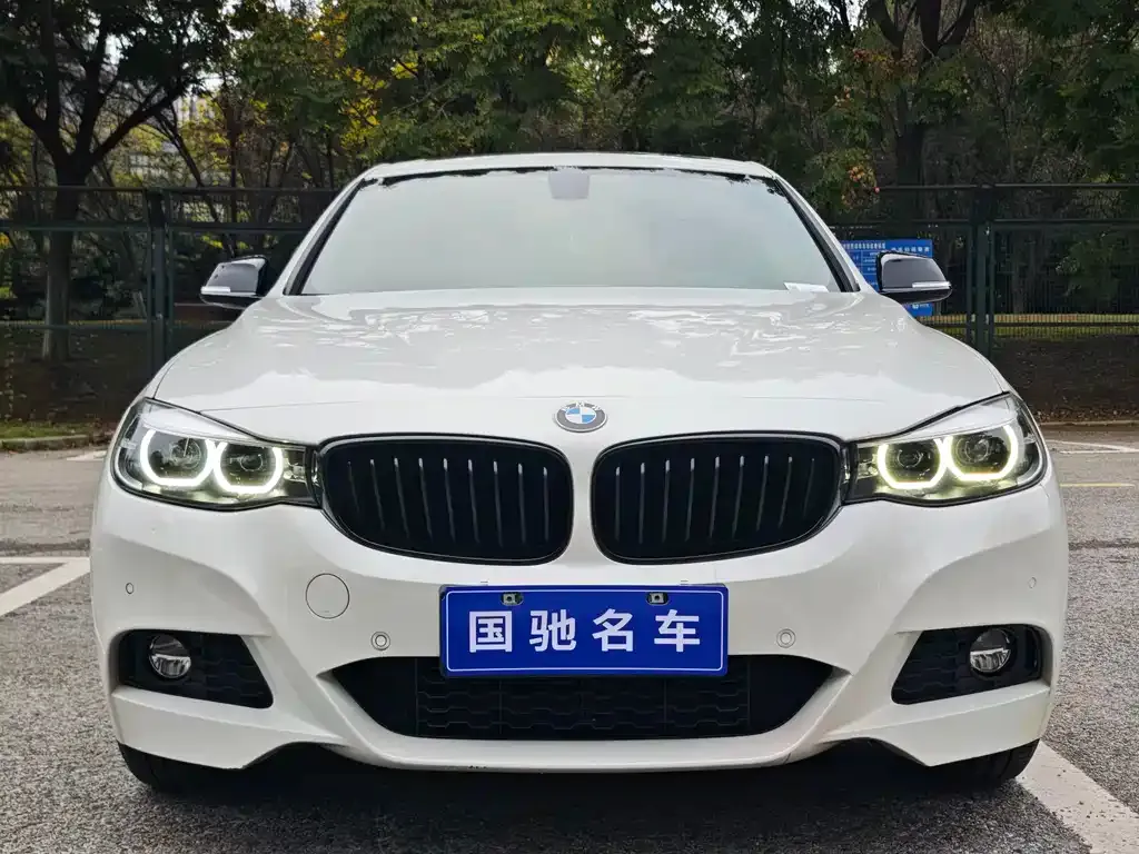 BMW 3 Series GT 2021 из CN, фото 2