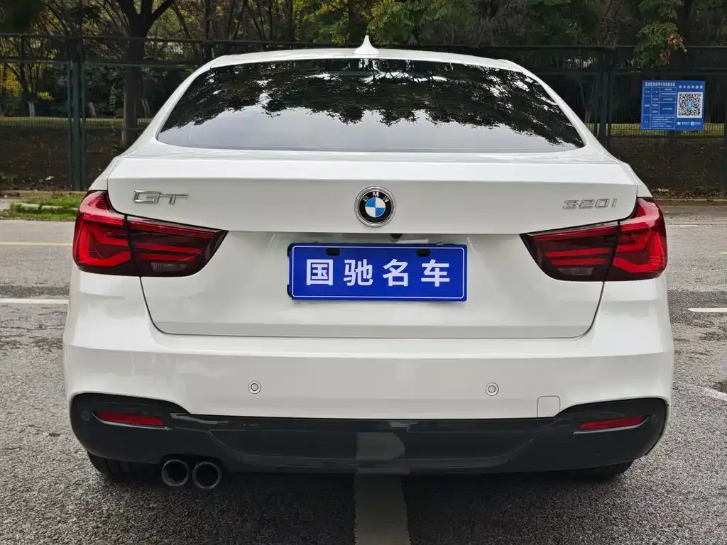 BMW 3 Series GT 2021 из CN, фото 4