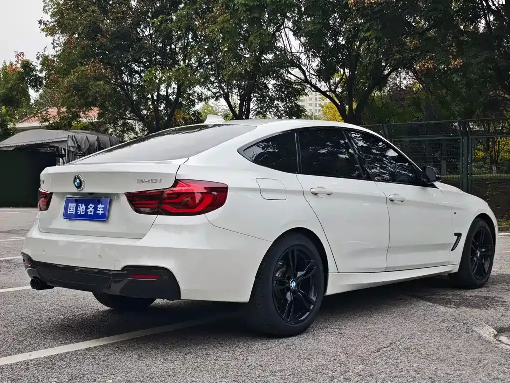 BMW 3 Series GT 2021 из CN, фото 5