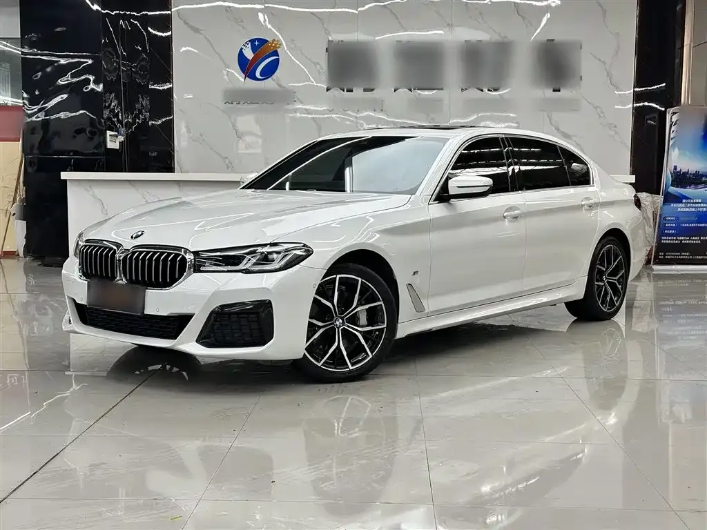 BMW 5 Series 2022 из CN, фото 1