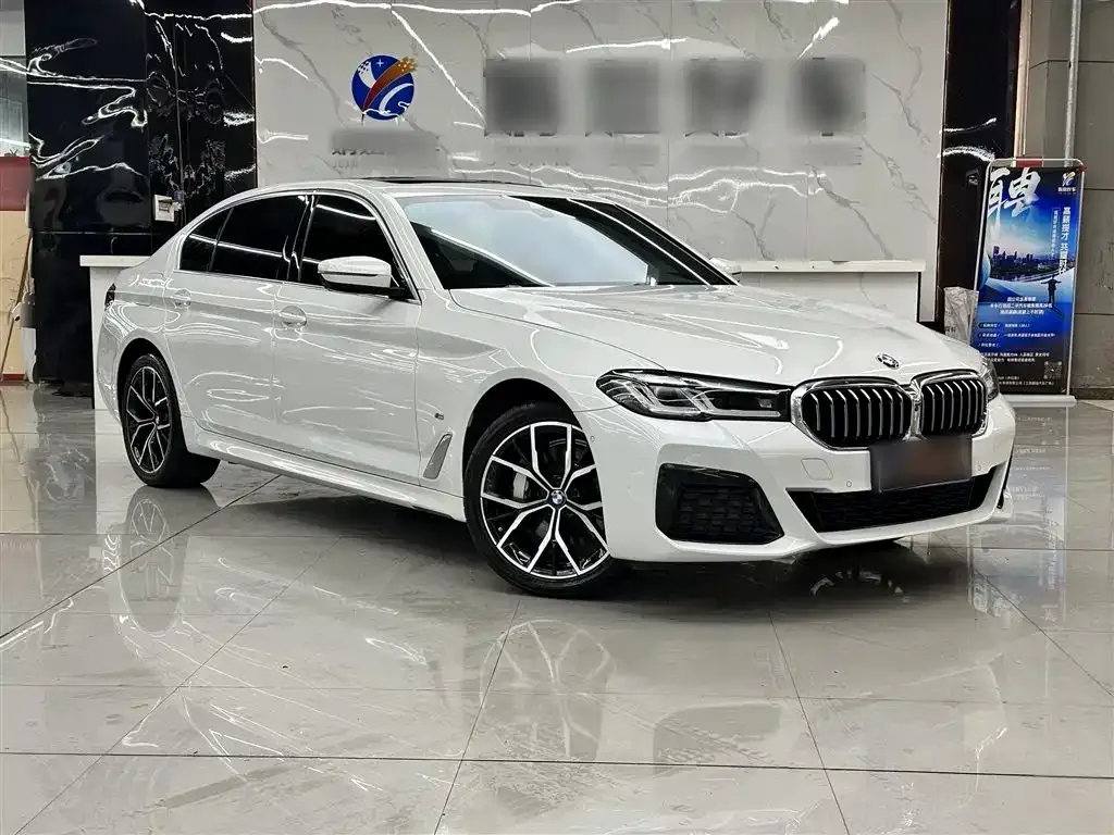 BMW 5 Series 2022 из CN, фото 10