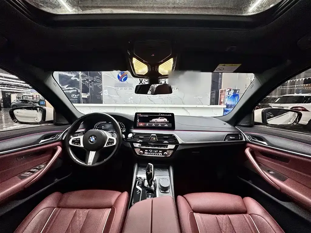 BMW 5 Series 2022 из CN, фото 8