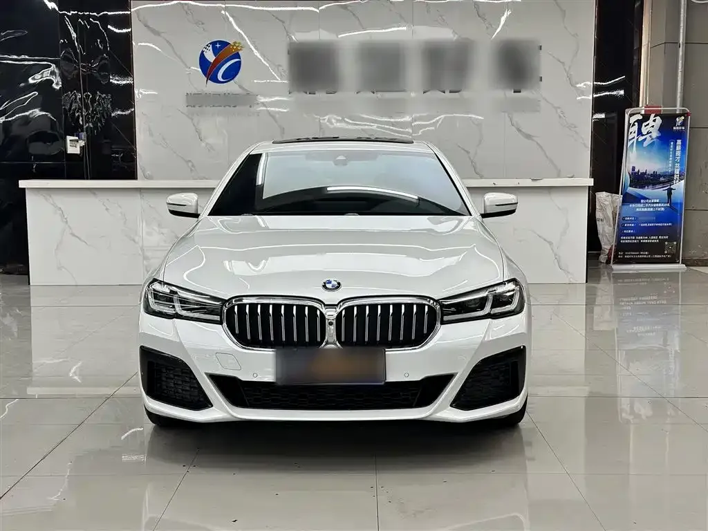 BMW 5 Series 2022 из CN, фото 9