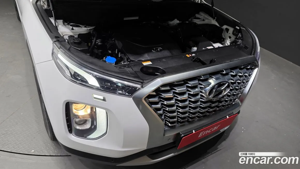 Hyundai Palisade 2022 из KR, фото 6