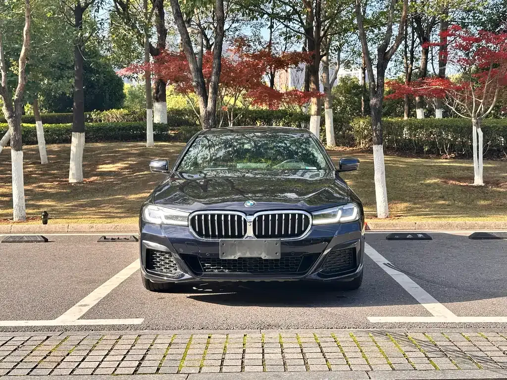 BMW 5 Series 2021 из CN, фото 2