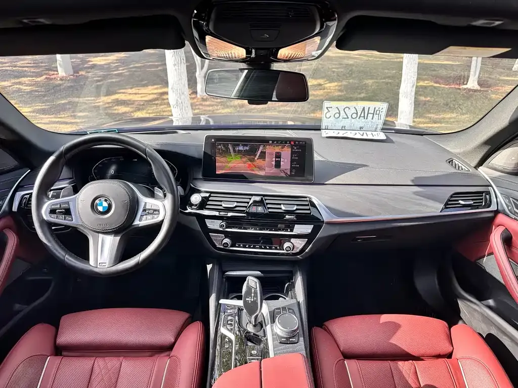 BMW 5 Series 2021 из CN, фото 8