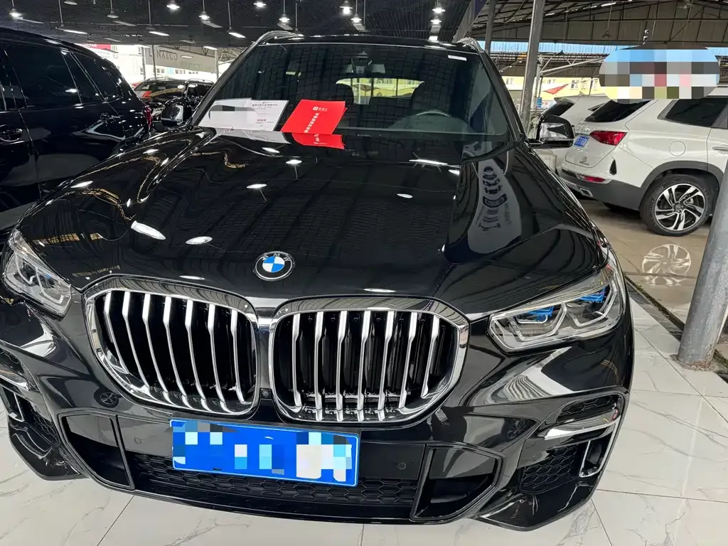BMW X5 2022 из CN, фото 2