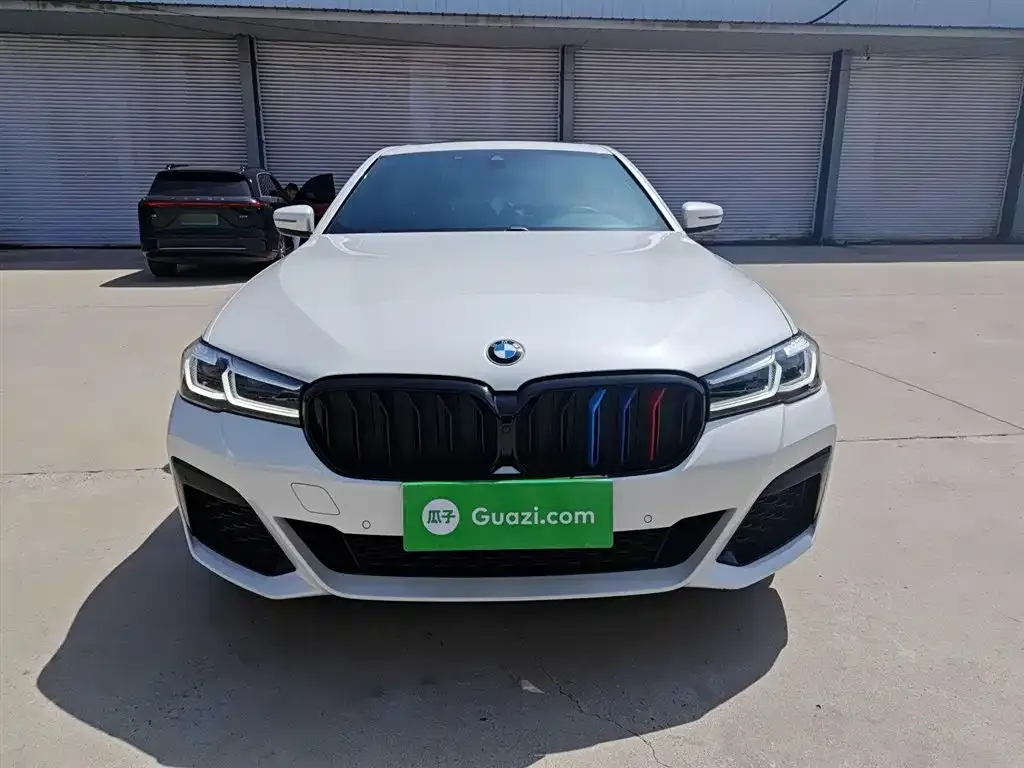 BMW 5 Series 2021 из CN, фото 3