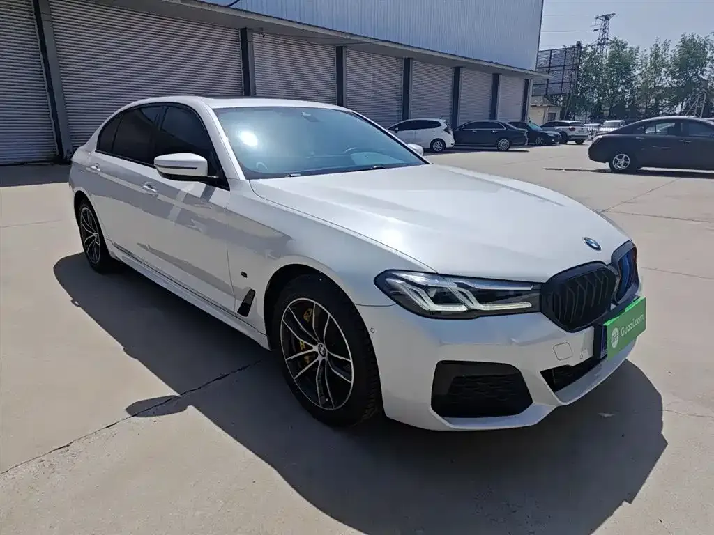 BMW 5 Series 2021 из CN, фото 4