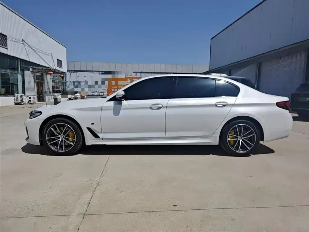BMW 5 Series 2021 из CN, фото 5