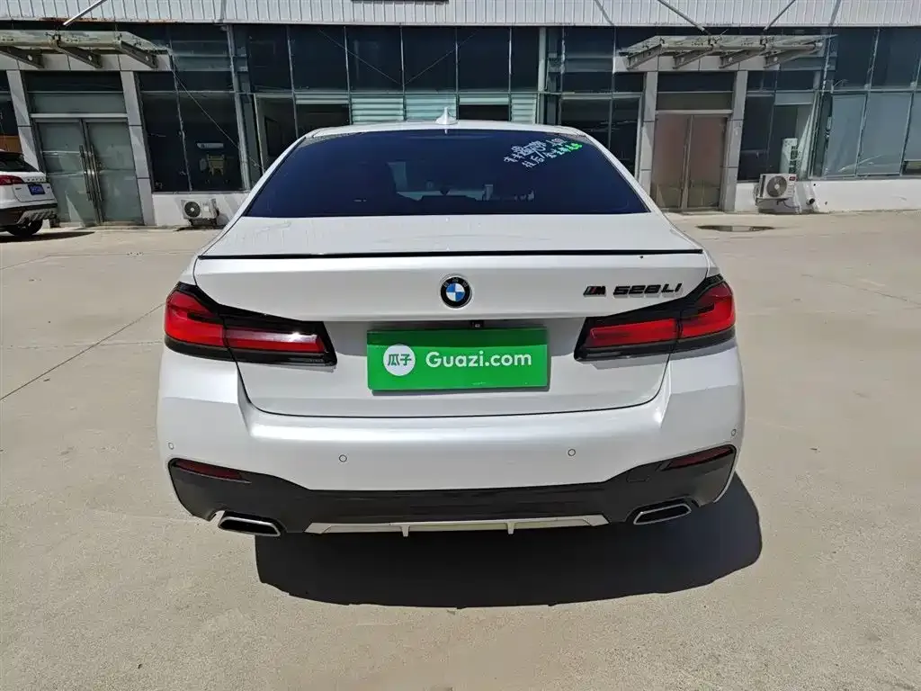 BMW 5 Series 2021 из CN, фото 6