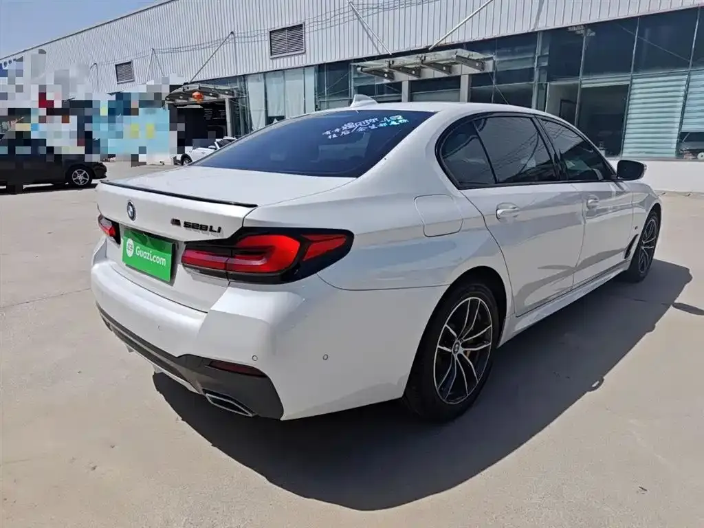 BMW 5 Series 2021 из CN, фото 7