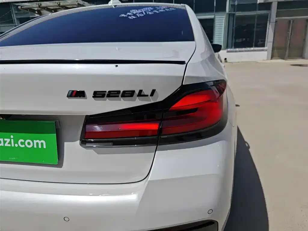 BMW 5 Series 2021 из CN, фото 8