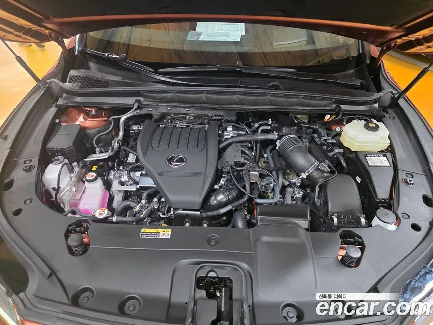 Lexus RX 2025 из KR, фото 6