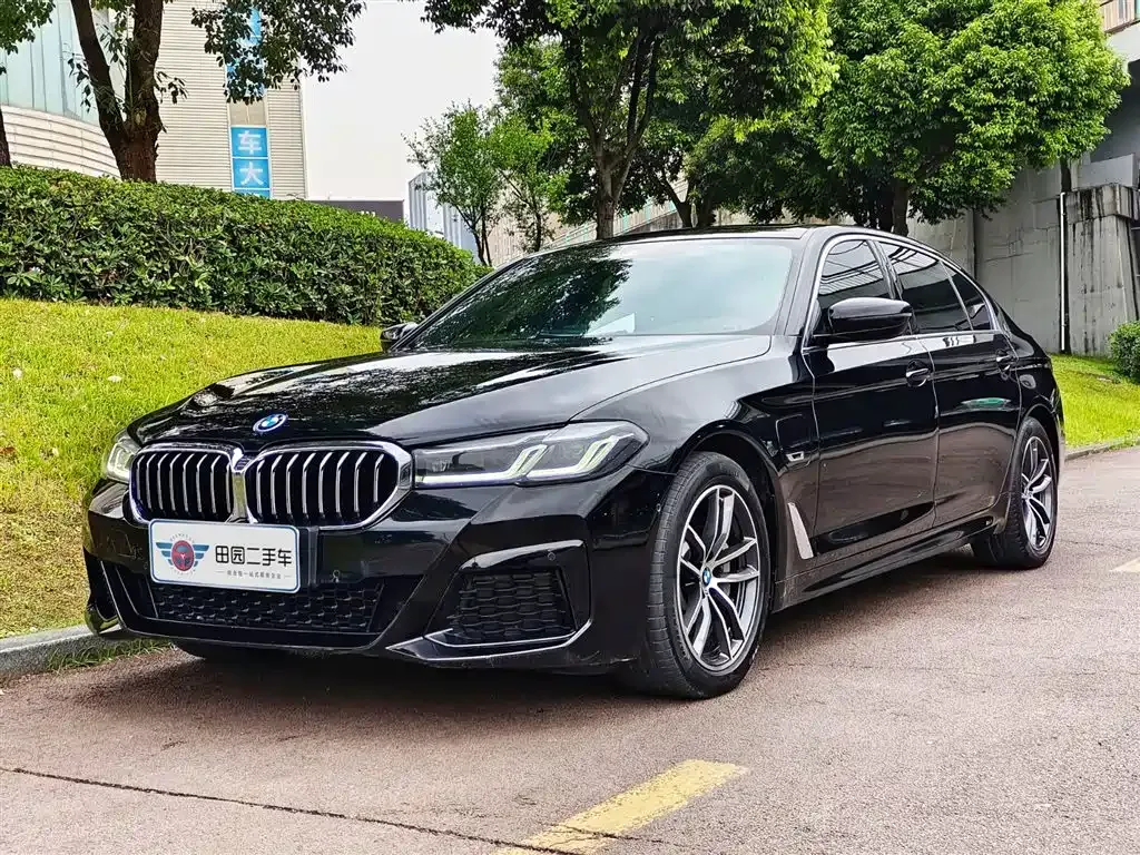 BMW 5 Series New Energy 2021 из CN, фото 1