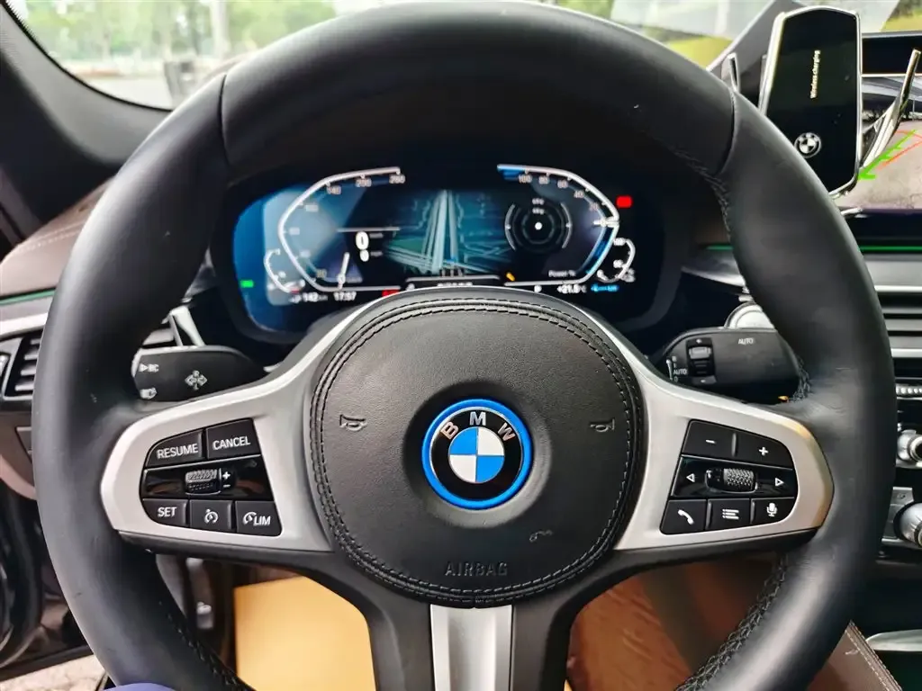 BMW 5 Series New Energy 2021 из CN, фото 10
