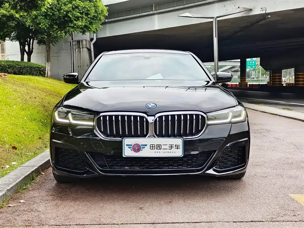 BMW 5 Series New Energy 2021 из CN, фото 2