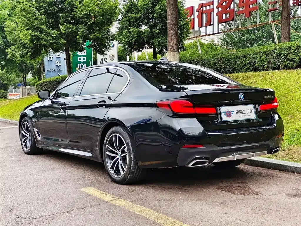 BMW 5 Series New Energy 2021 из CN, фото 4
