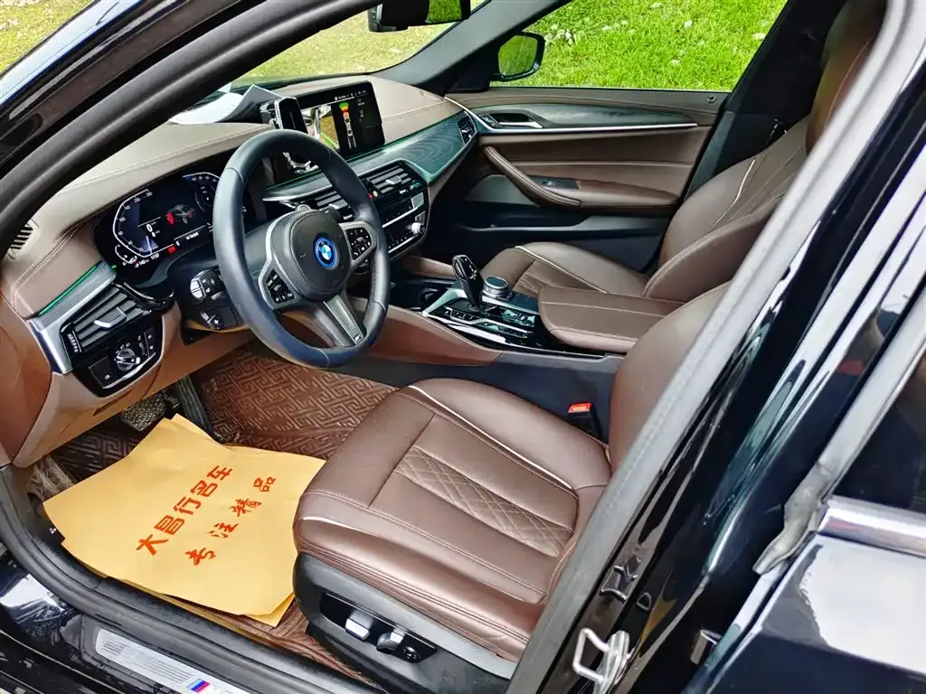 BMW 5 Series New Energy 2021 из CN, фото 7