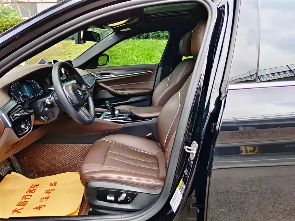 BMW 5 Series New Energy 2021 из CN, фото 9