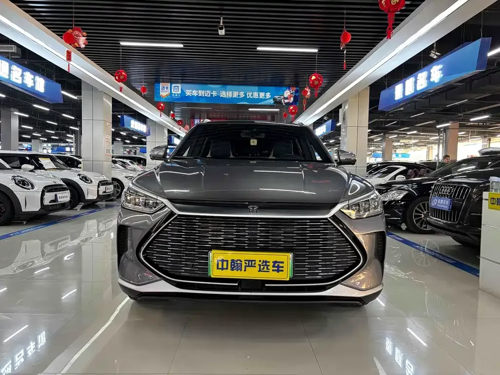 BYD PLUS New Energy — фото 2