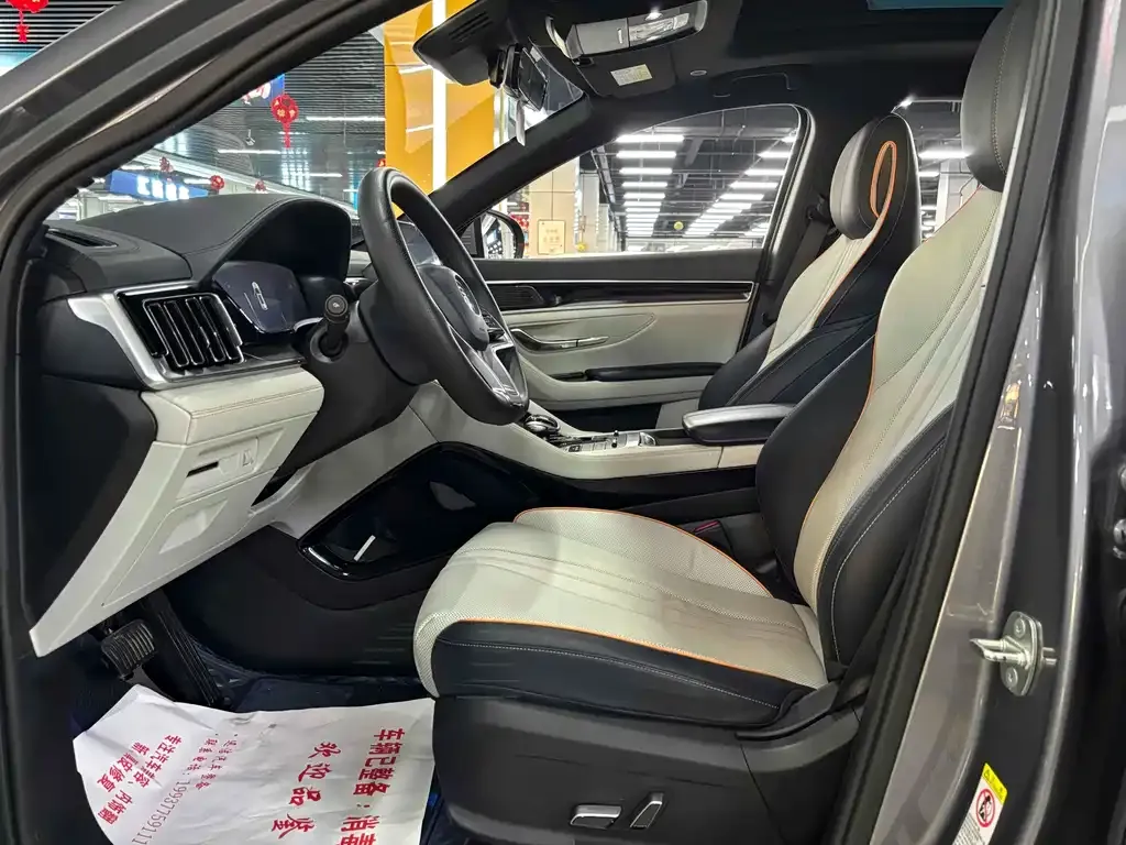 BYD PLUS New Energy — фото 4