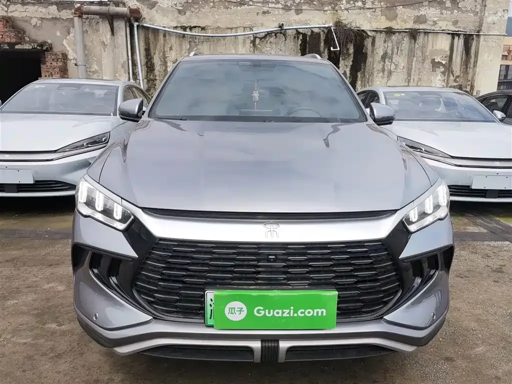 BYD Pro New Energy 2024 из CN, фото 3
