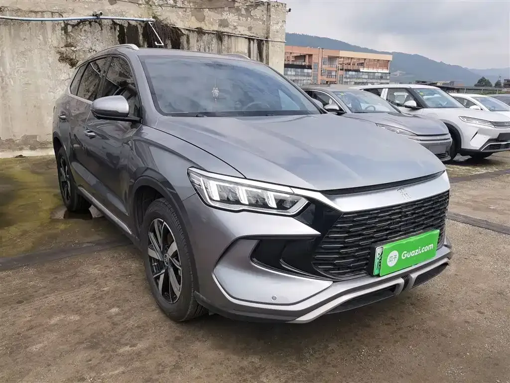 BYD Pro New Energy 2024 из CN, фото 4