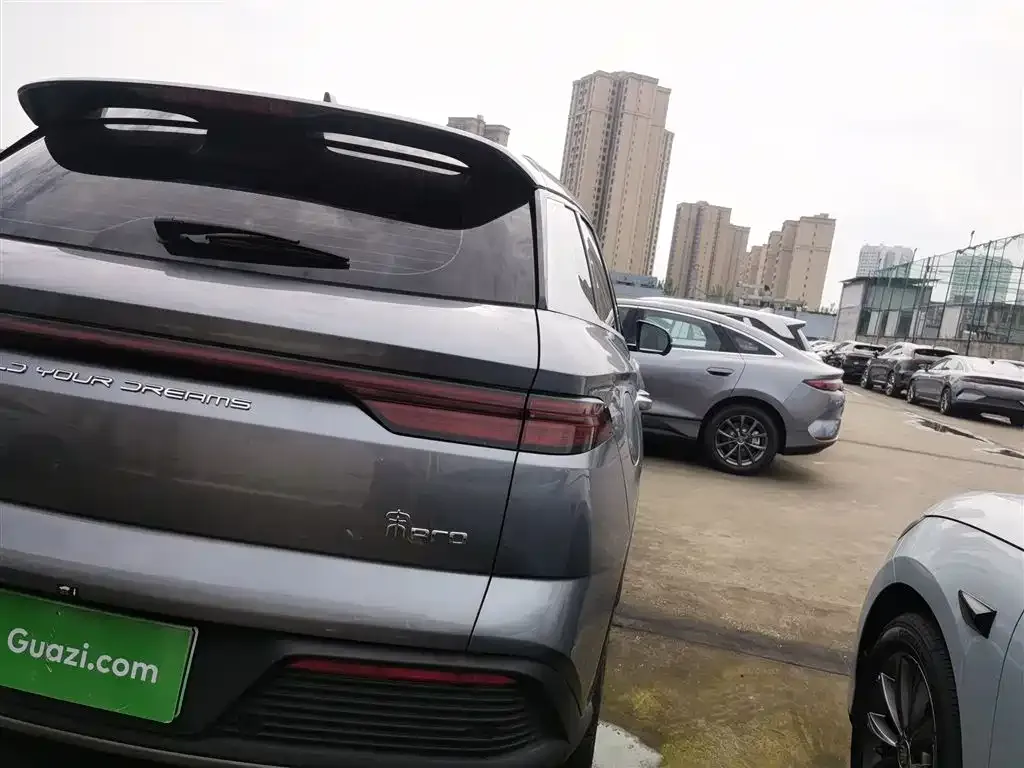 BYD Pro New Energy 2024 из CN, фото 8