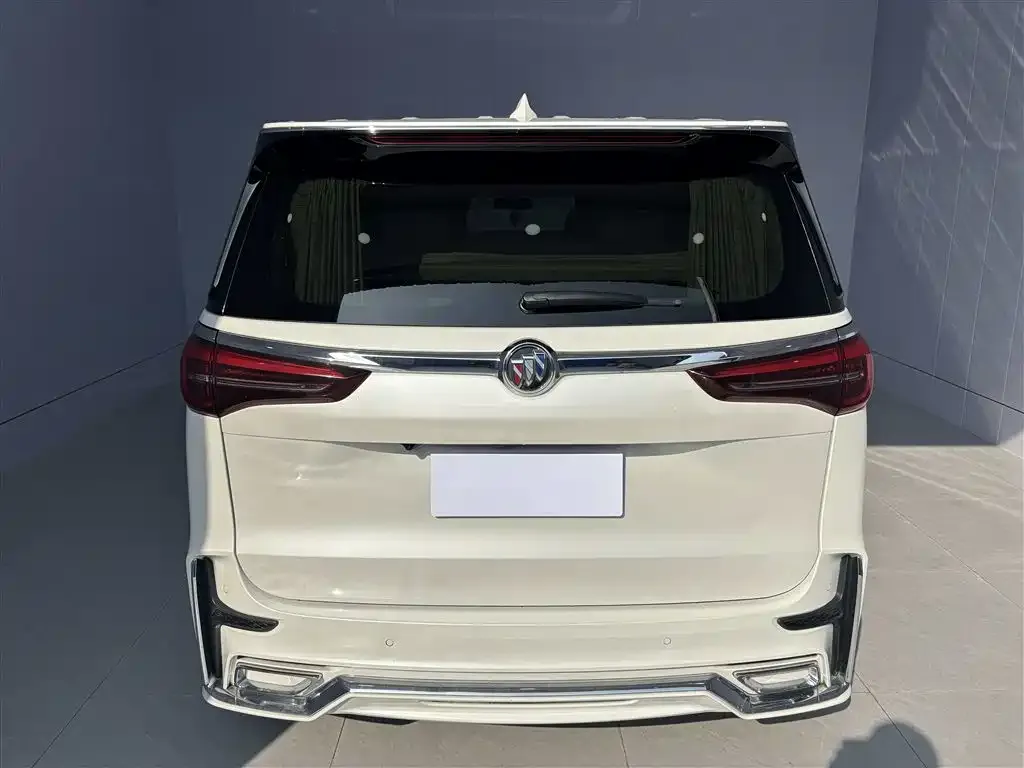 Buick GL8 2021 из CN, фото 4
