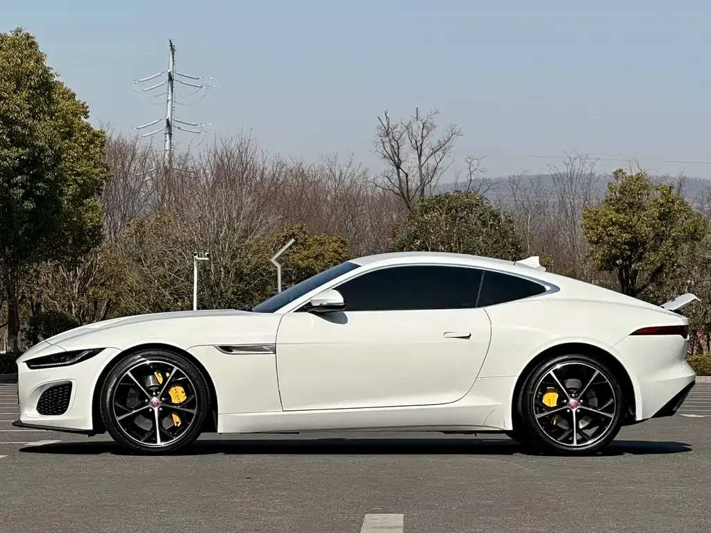 Jaguar F-TYPE 2021 из CN, фото 1