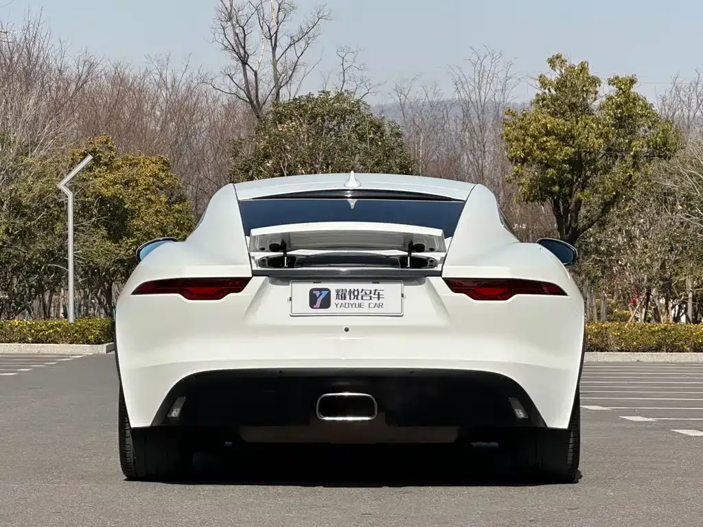 Jaguar F-TYPE 2021 из CN, фото 8