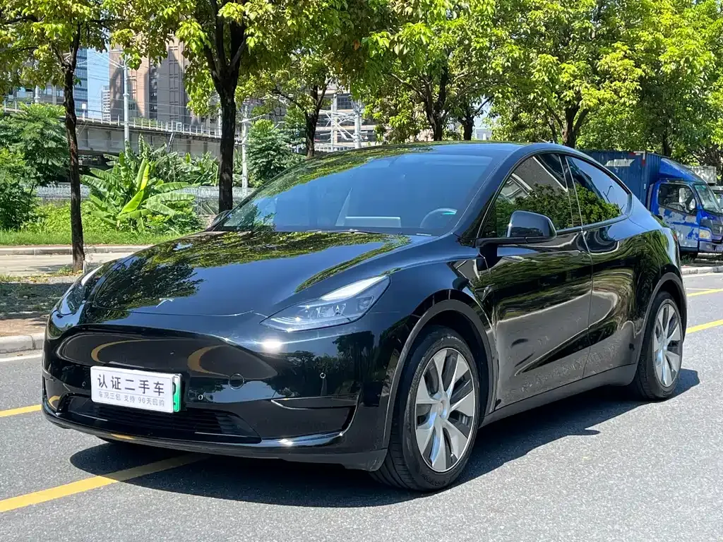 Tesla Model Y 2022 из CN, фото 1