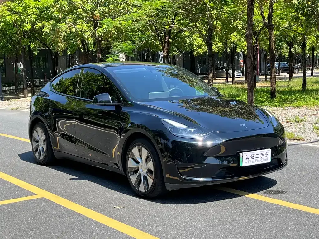 Tesla Model Y 2022 из CN, фото 3