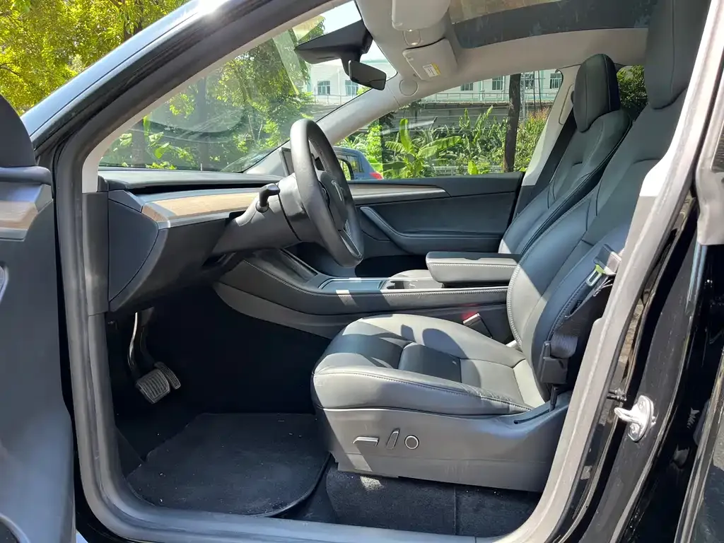 Tesla Model Y 2022 из CN, фото 4