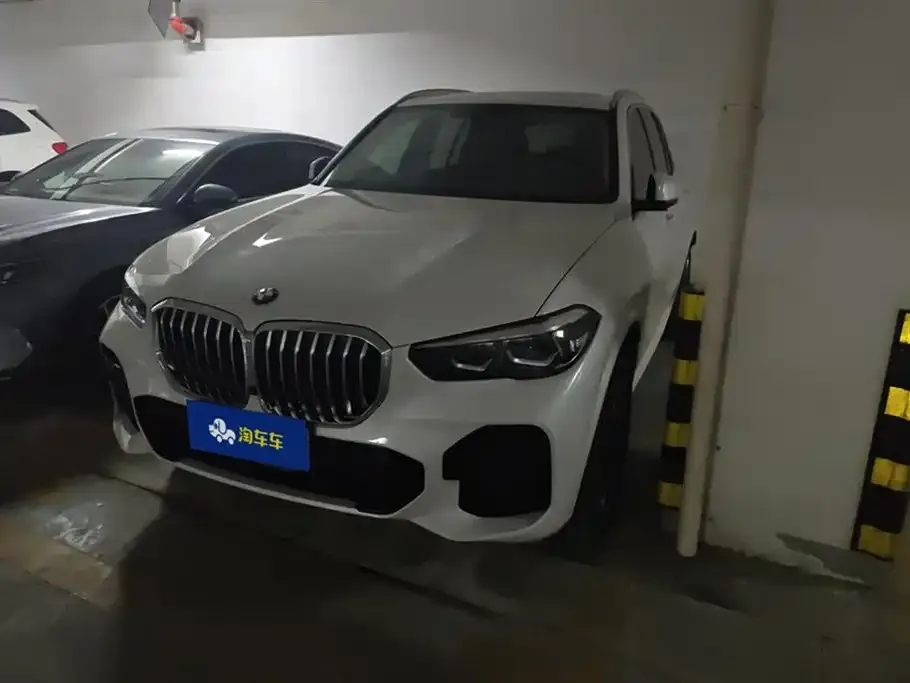 BMW X5 (Import) 2021 из CN, фото 1