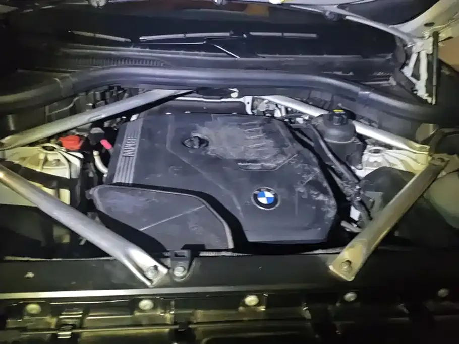 BMW X5 (Import) 2021 из CN, фото 10