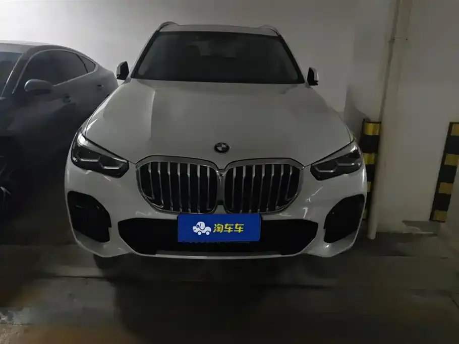 BMW X5 (Import) 2021 из CN, фото 2